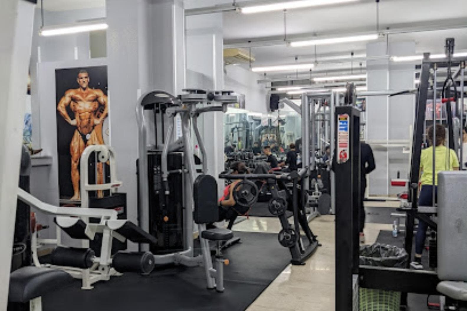 Palestra Big