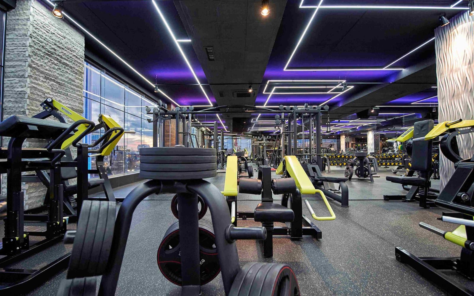 Pulse Fit (Youth)