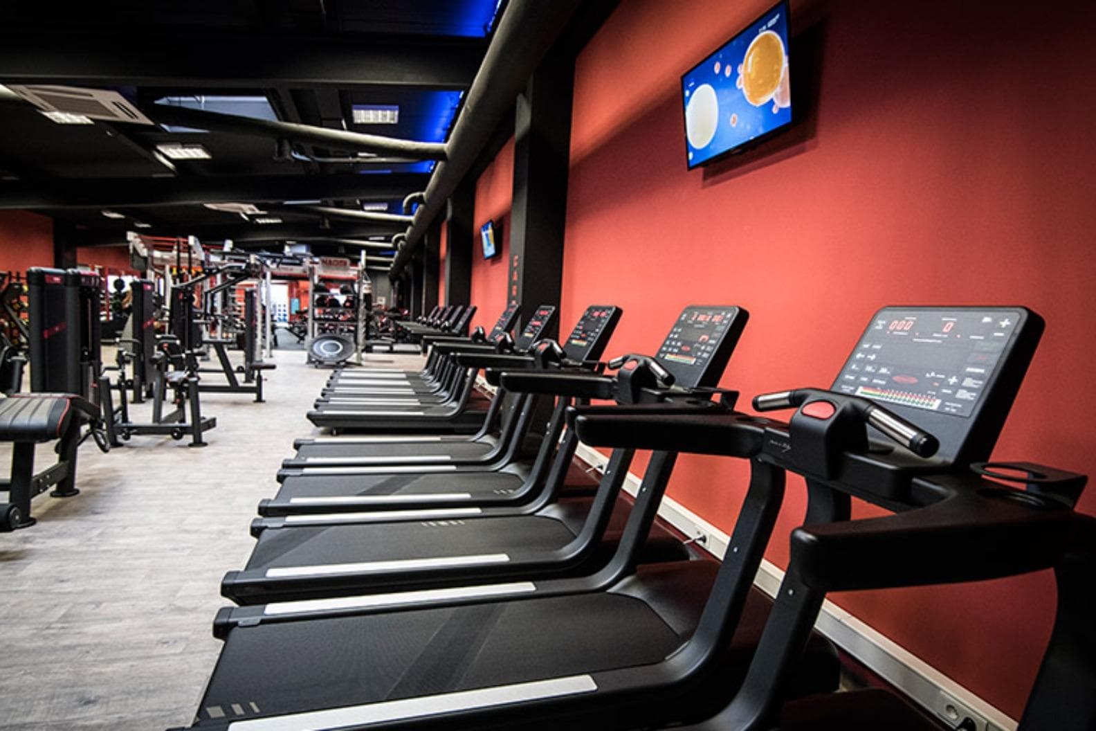 Xtreme Fitness Nowy Targ