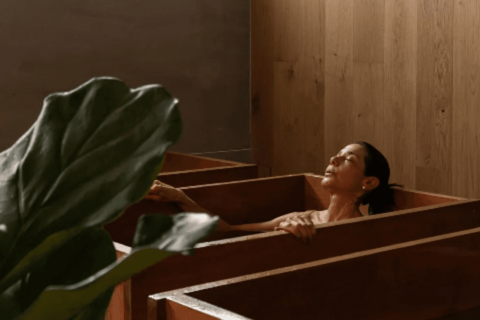 Koti Wellness Lomas