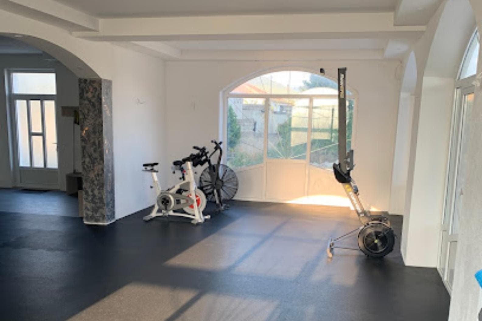 Alive Fitness