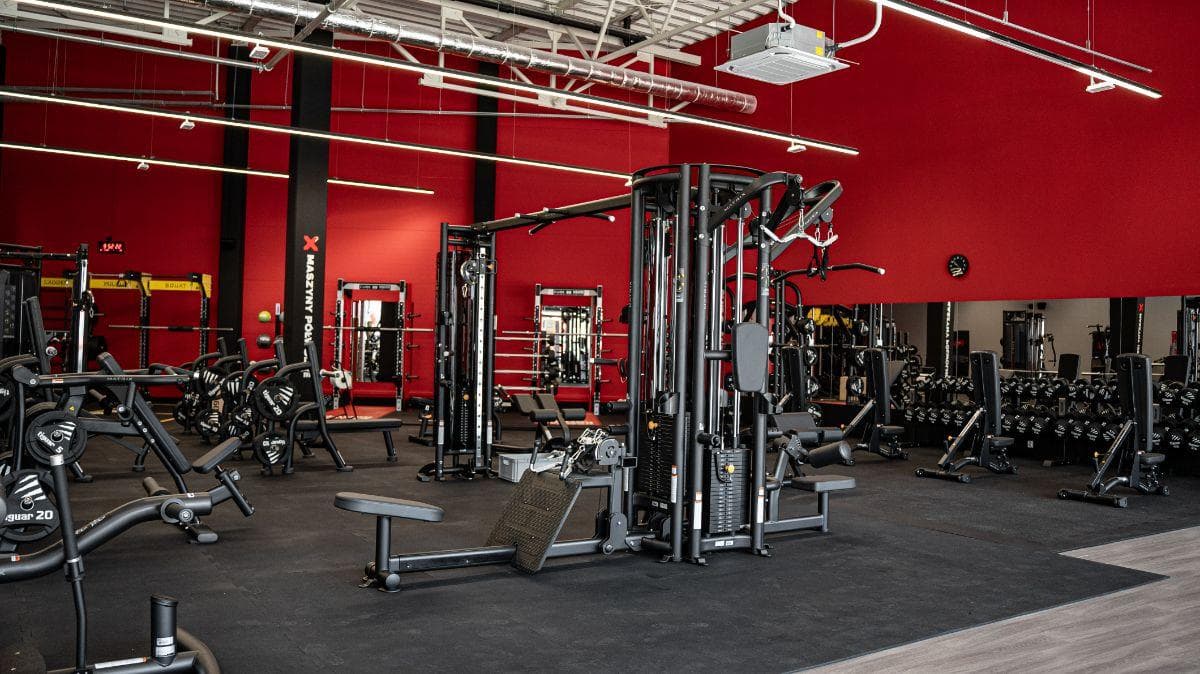 Xtreme Fitness Jastrzębie Zdrój Karuzela