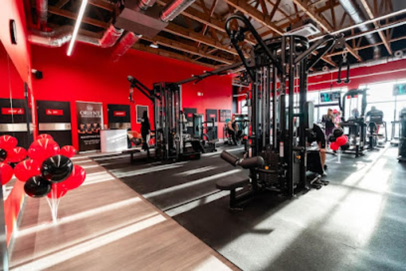 Xtreme Fitness Stargard