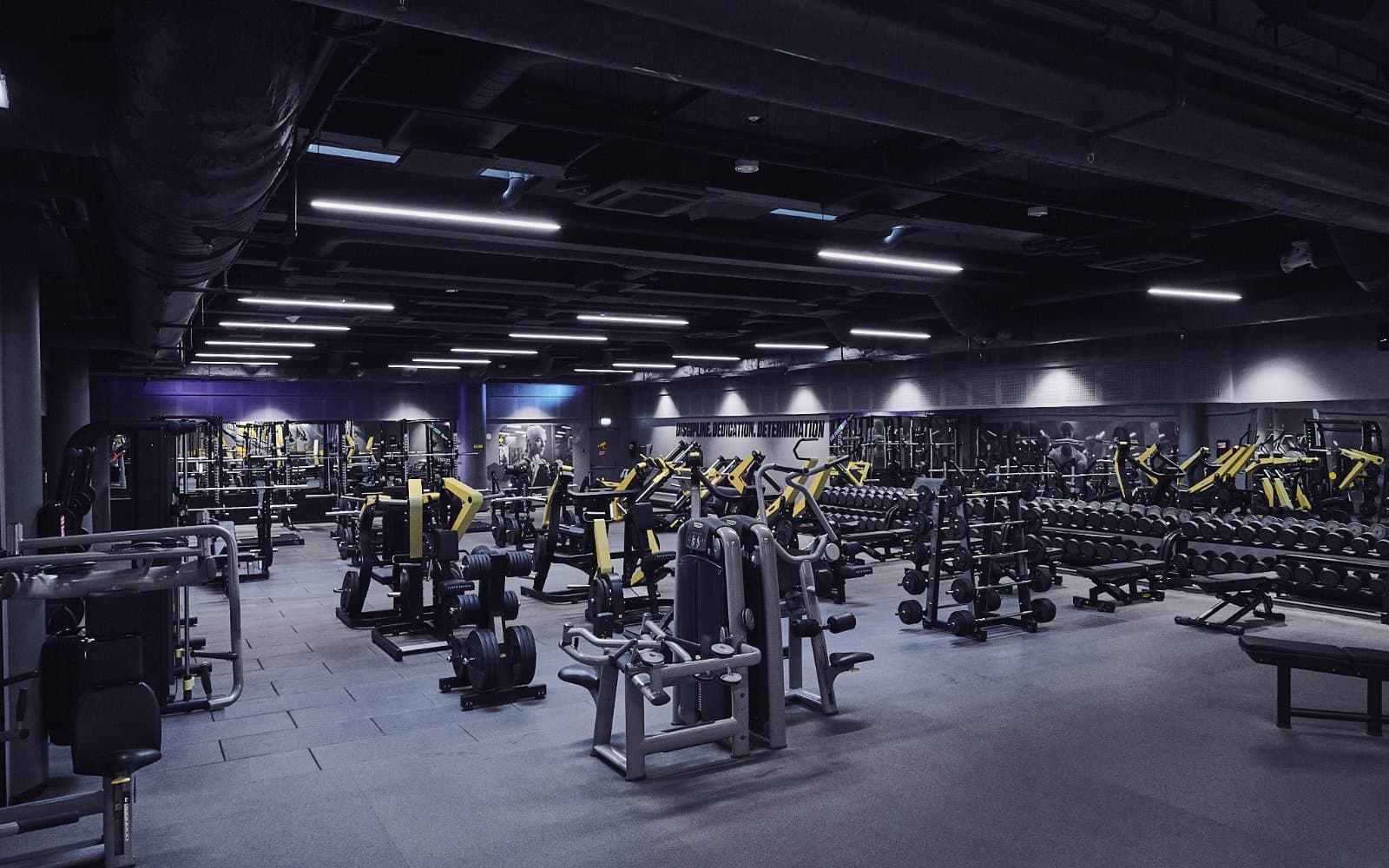 GYM! Eesti (Solaris)