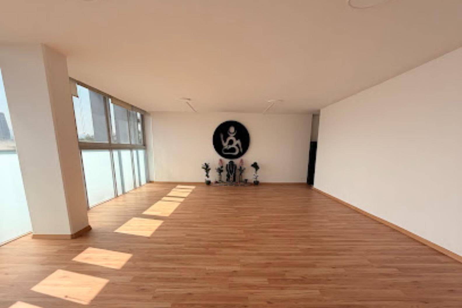 YogaShala Del Valle