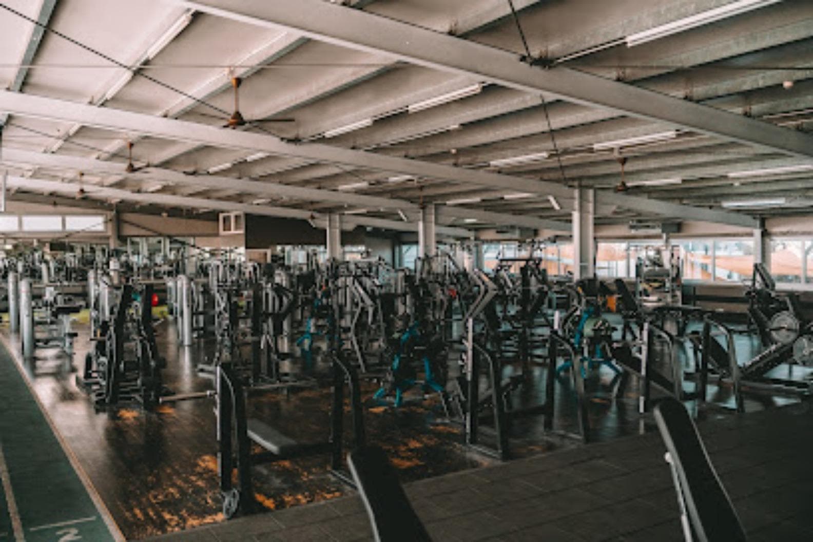 Arise Active