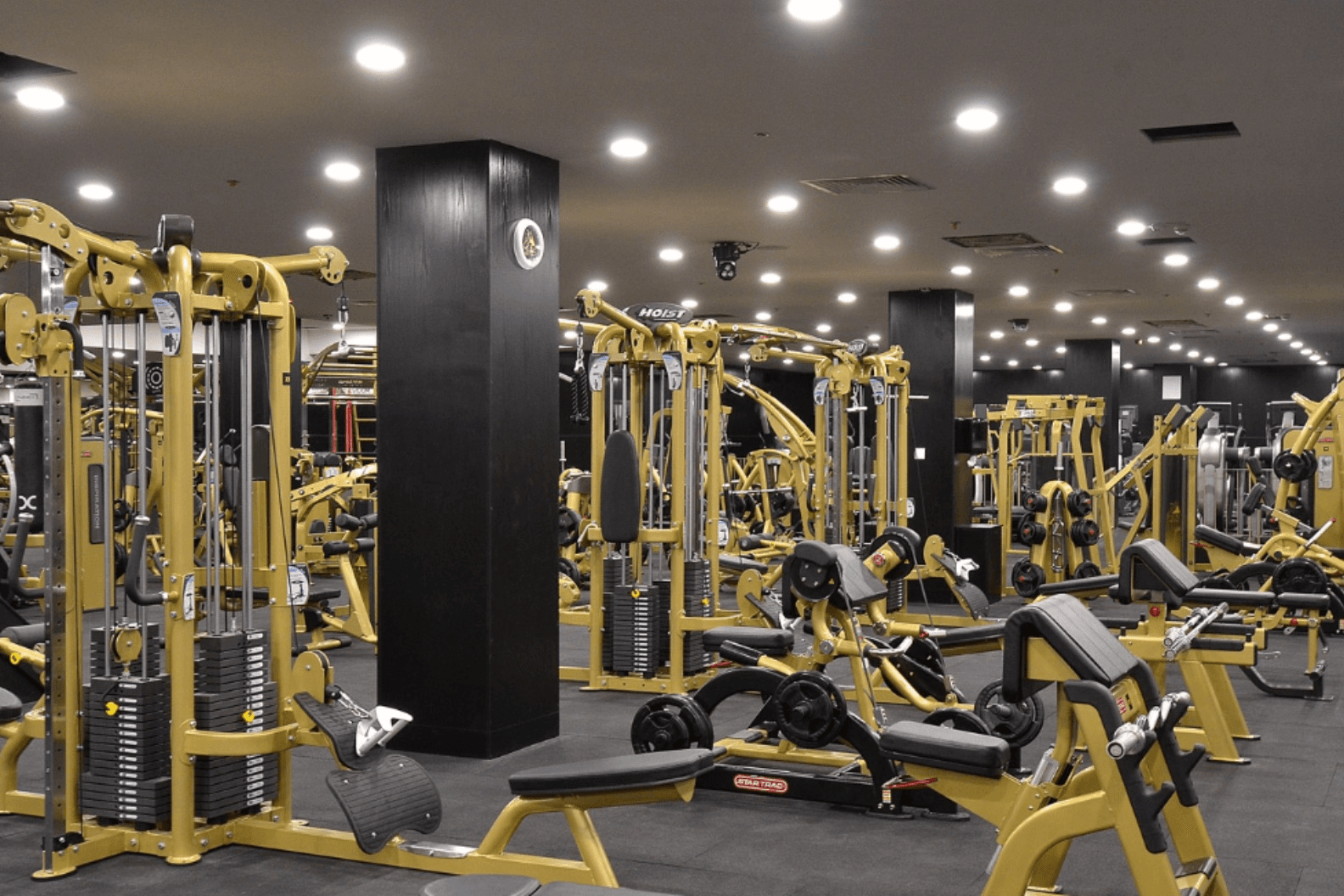 Peak Gym (Arena)