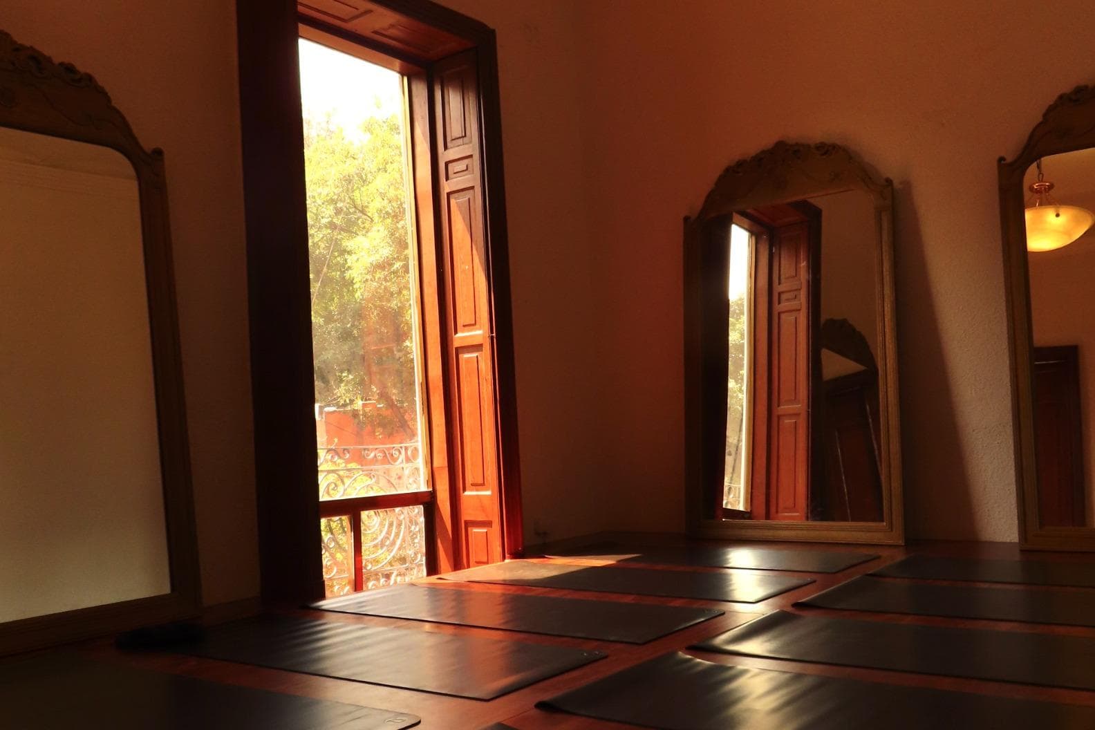 Poppy Wellness Lounge