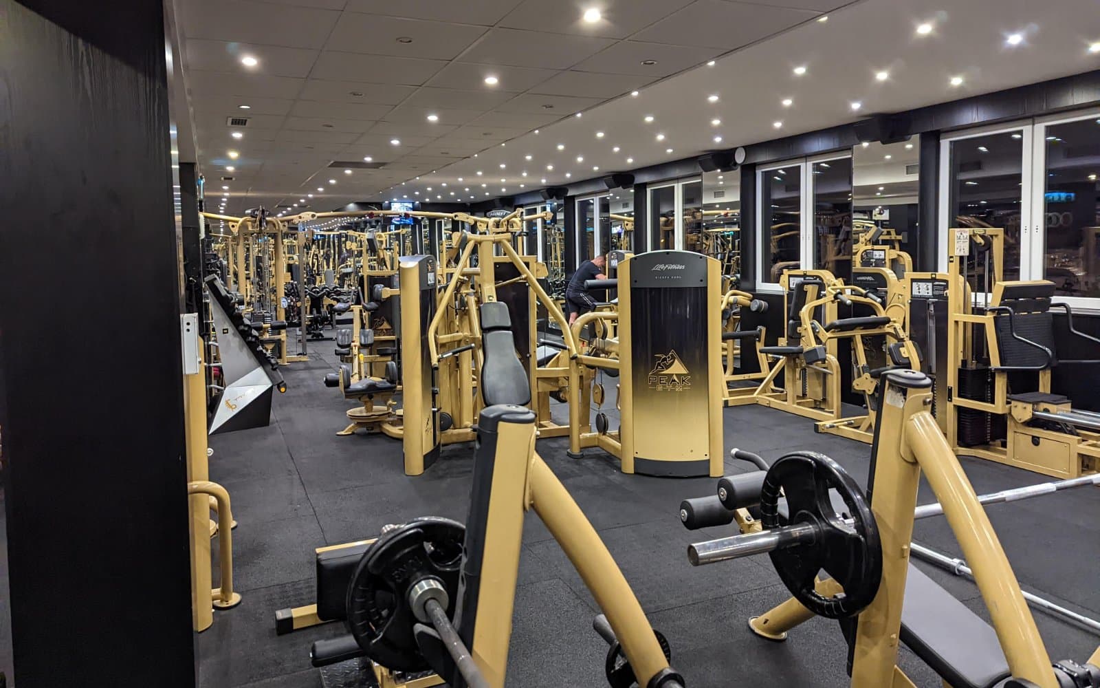 Peak Gym (Gold)