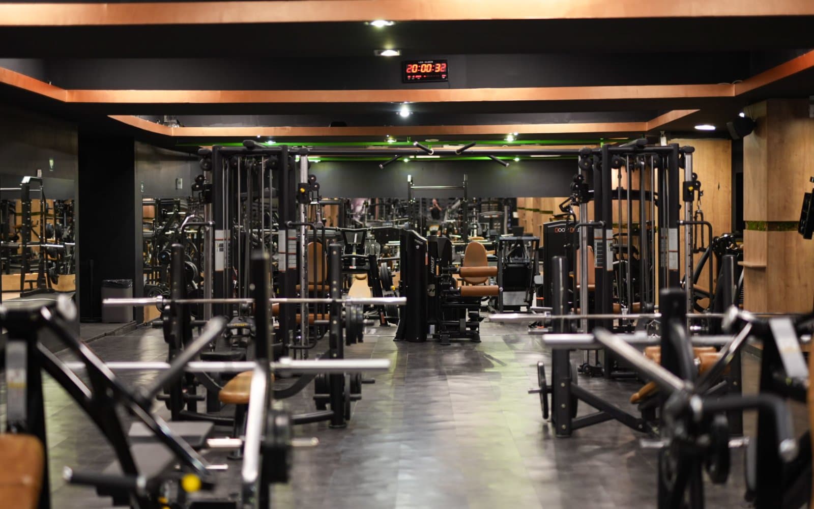 Downtown Fitness (Mihalache)