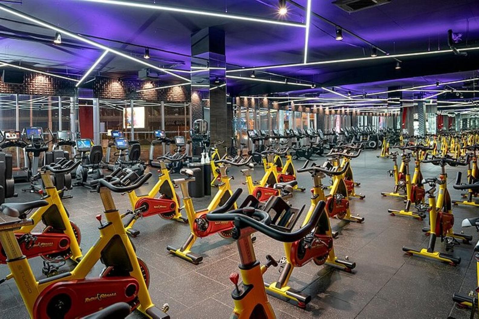 Pulse Fit (Vitosha)